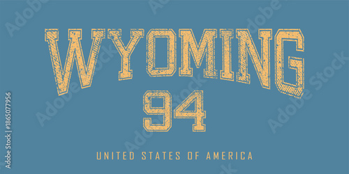 Retro typography university united states state vintage slogan print, 
highlighted grunge texture for graphic t-shirt or sweatshirt hoodie - Vector