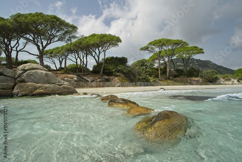 Palombaggia Beach, Porto-Vecchio, Corsica, France