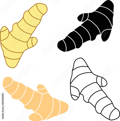 Turmeric root illustration in three styles — colored, black and white, outline — ideal for culinary, herbal medicine and spice industry content.