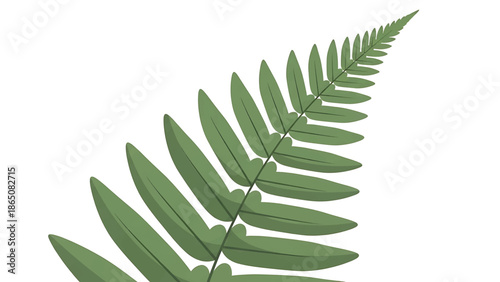 Digitally rendered illustration of a fern leaf, showcasing its delicate, textured design. The green fronds contrast against a white background