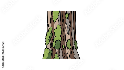 Cartoon illustration of a tree trunk with patches of green moss growing on its textured, brown and tan bark