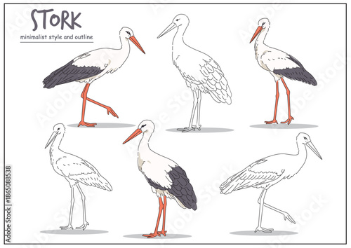 Illustration of a stork represented in multiple poses with clear outlines, highlighting its distinctive features and elegant stance. Animal design concept