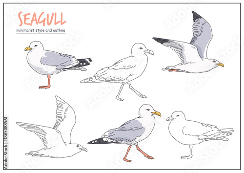 Illustration of a seagull depicted in multiple poses with clear outlines, emphasizing its distinctive characteristics and actions. Animal design concept