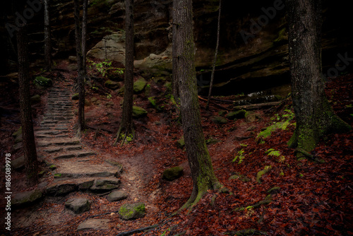 Obraz na płótnie Morning hiking in Hocking Hills Ohio State Park