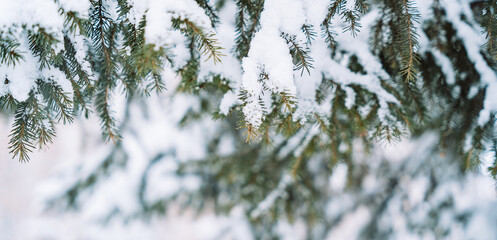 Fotobehang Hotel Besneeuwde dennentakken in winterse sfeer  © Anastassiya 