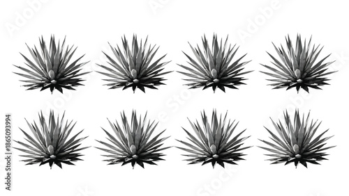 A monochrome pattern featuring eight agave plants in a grid layout