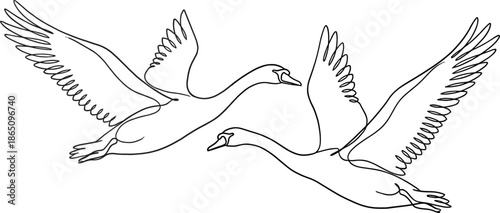 Continuous one line drawing of two elegant swans flying in the sky in minimalist black and white modern vector style