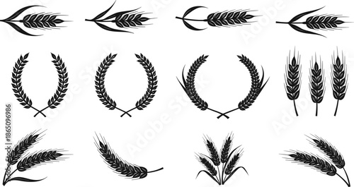 Wheat grain decorative vector set featuring barley rye cereal ears agricultural harvest and vintage botanical elements