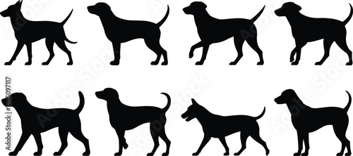 Seven black silhouette dogs walking in a row on a white background 1