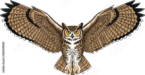 Detailed illustration of a great horned owl flying with wings spread wide, majestic nocturnal bird of prey on white background,
