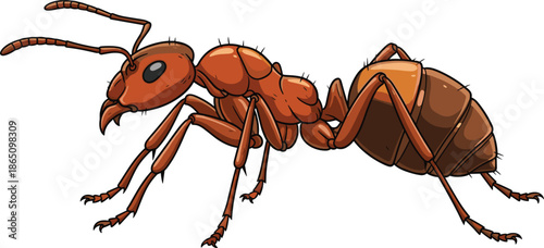 Detailed Red Ant Illustration Isolated on White Background for Nature Biology Education Pest Control Services and Wildlife Themed Graphic Design