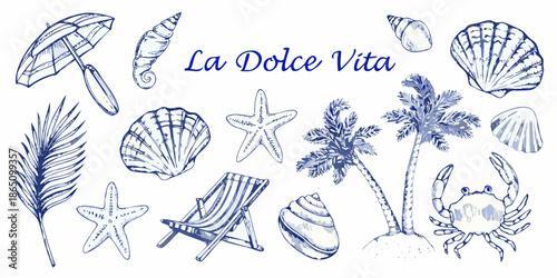 Blue and white illustration featuring seashells palm leaves and coastal elements