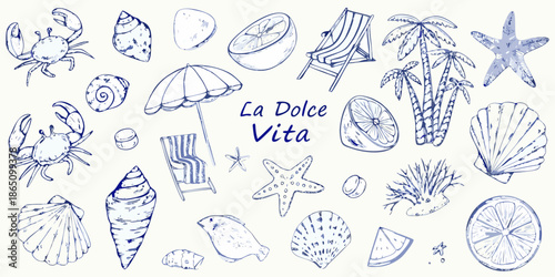 A collection of beach elements including crabs shells chairs and tropical plants