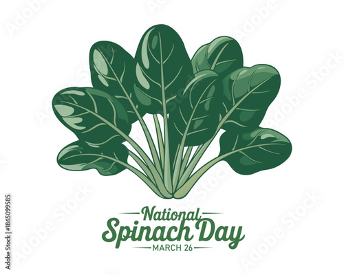 Vector illustration, fresh spinach leaves isolated on white background, as a banner, poster or template, national spinach day.