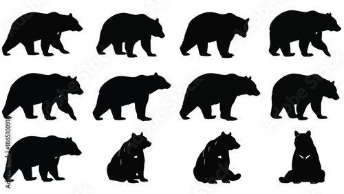 A collection of bear silhouettes in various poses and perspectives