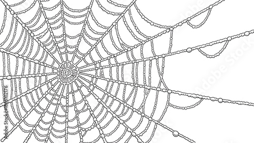 Detailed illustration of a classic spiderweb with radial threads and sticky spiral capture threads black and white