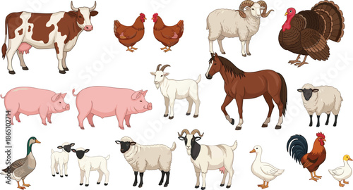 Set of farm animals including cow horse pig sheep goat and poultry isolated on white background, flat vector illustration collection