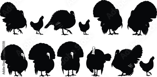 Turkey and chicken silhouette vector set, poultry farm birds icon collection for Thanksgiving, harvest festival design, organic meat industry, isolated,