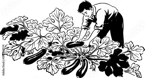 Monochrome sumi-e style illustration of a man harvesting fresh z

