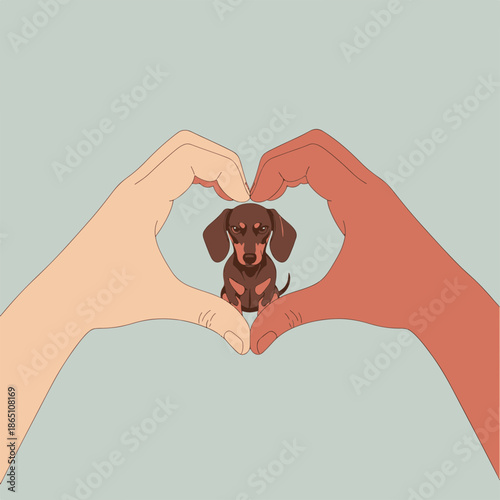 Diverse hands form a heartwarming heart shape around an adorable dachshund puppy, symbolizing universal love, care, pet companionship, and unity