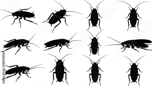 Cockroach Silhouette Vector Set Featuring Pest Control Icons, Insect Infestation Graphics, Creepy Crawly Bugs, Beetle Outlines, and Household Hygiene Sanitation Elements