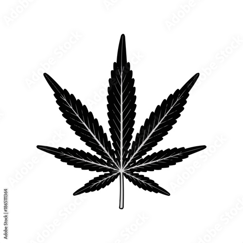 Black cannabis leaf silhouette on white background  