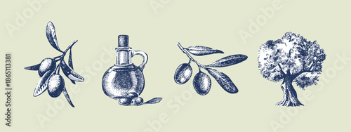 Vintage sketch set of olive branche, bottle of oil, tree. Extra virgin, farm product, Mediterranean cuisine, cosmetic, organic farm, packaging label. Hand drawn vector illustration.