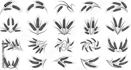 Wheat ears decorative vector set featuring hand drawn grain branches flour agriculture and bakery design elements