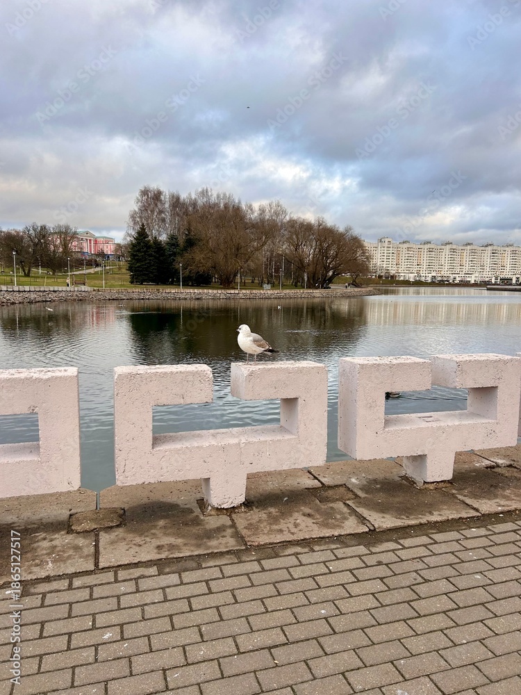 Obraz premium a seagull sits on the embankment fence 
