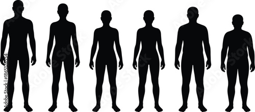 Human body silhouette collection showing male female adult child proportions anatomy comparison isolated black figures on white background design set