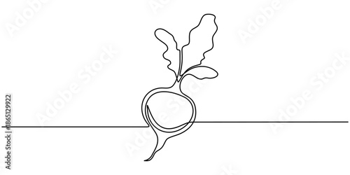 A single continuous line drawing of a beet or radish on a white background Vector, illustration
