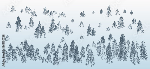 Background with coniferous forest with blue fog. 

