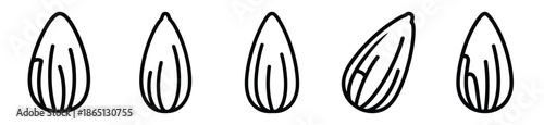 almond food outline icon collection. Vector illustration