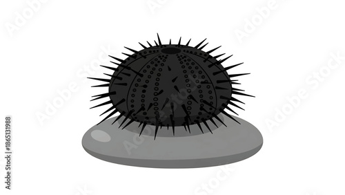 Illustration of a spiky, spherical object on a gray stone. The object is dark with sharp projections and small circles. The stone is flat