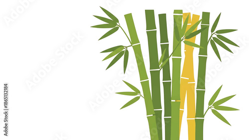 Illustration of several bamboo stalks with green and yellow tones, with leaves, against a stark white background