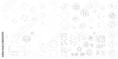 An assortment of botanical sketches and floral designs in monochrome