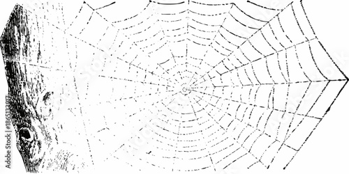 A detailed illustration of a classic orb weaver spiderweb against a dark background