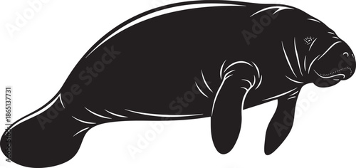 Stylized vector illustration of a smiling manatee isolated on transparent background