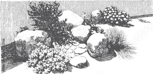 Black and white landscape vector illustration featuring rocks and plants. Detailed sketch set depicting natural outdoor elements.