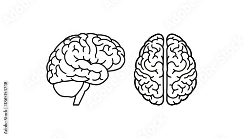 Brain Anatomy: Side and Top Views Line Art