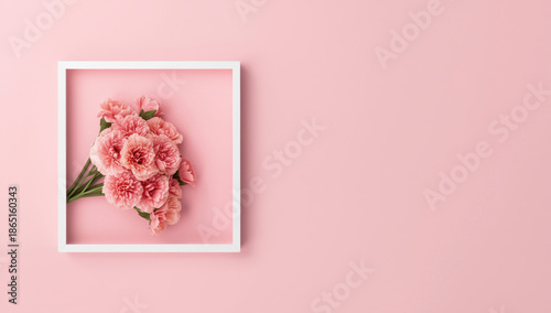 Beautiful Pink Carnation Flowers in White Frame on Pastel Pink Background Flat Lay Photography