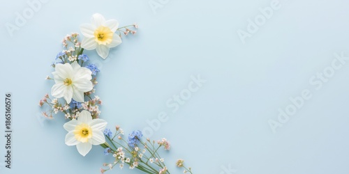 Serene Floral Arrangement of White Daffodils and Baby's Breath on Soft Blue Background