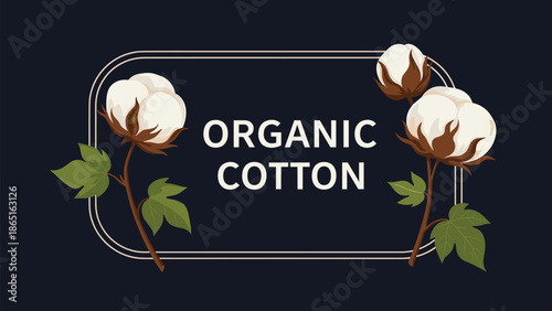 Botanical illustration of natural organic cotton plants with fluffy white bolls and green leaves framed within an elegant gold border.