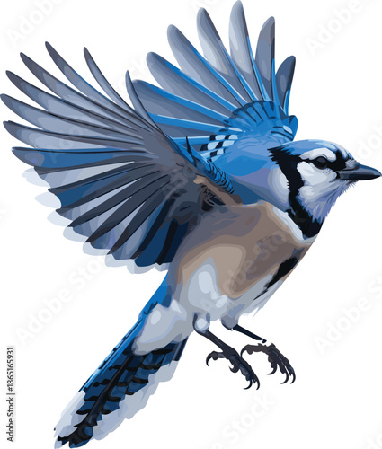 Blue Jay bird, vibrant feather illustration, flying wildlife art, colorful nature drawing, educational ornithology design, decorative animal artwork, dynamic avian image