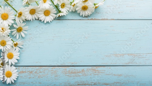 White Daisies on Distressed Light Blue Wooden Background - Spring Floral Arrangement with Copy Space
