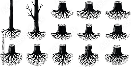Tree Trunk And Stump Vector Silhouette Set Featuring Exposed Roots Cut Timber Dead Wood Logging Forestry Elements And Environmental Nature Icons
