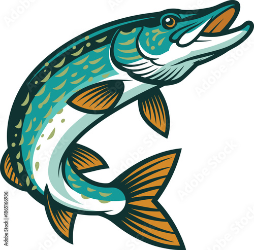 Northern pike fish, freshwater predator illustration, sport fishing artwork, dynamic aquatic design, sharp teeth detail, colorful fins, aggressive nature drawing, wildlife art