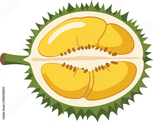 A halved durian fruit with yellow flesh and brown seeds on a white background