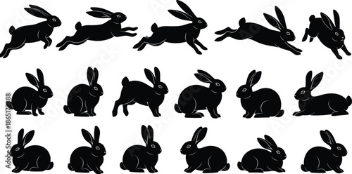 Black rabbit silhouette set showing jumping running and sitting poses isolated on white background for wildlife illustration and design use