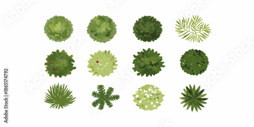 An aerial view of diverse green trees and plants top down perspective